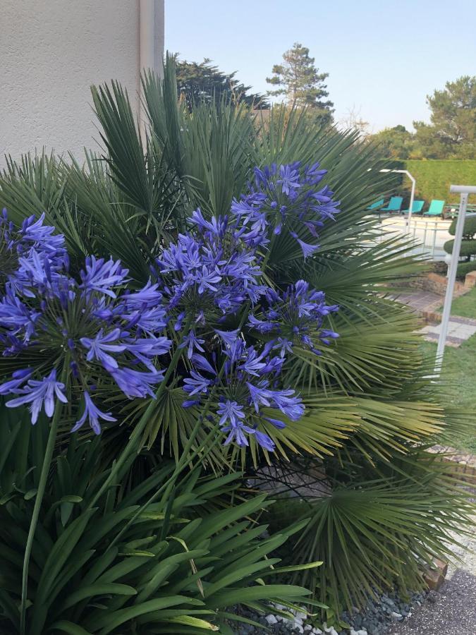 Amare Granville Saint-Pair-sur-Mer